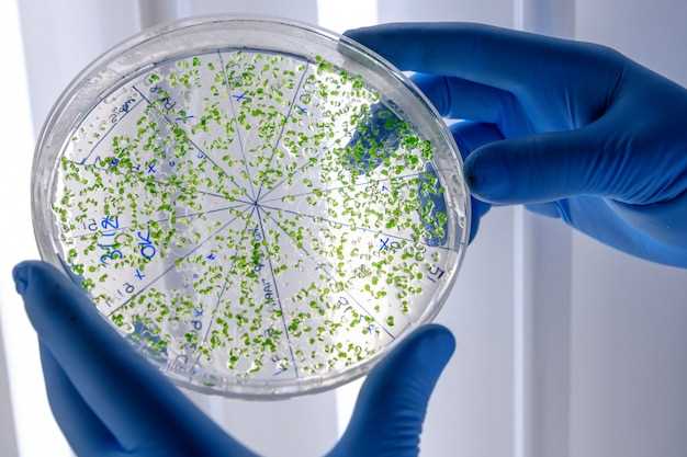 Клинические проявления инфицирования бактерией Ureaplasma urealyticum