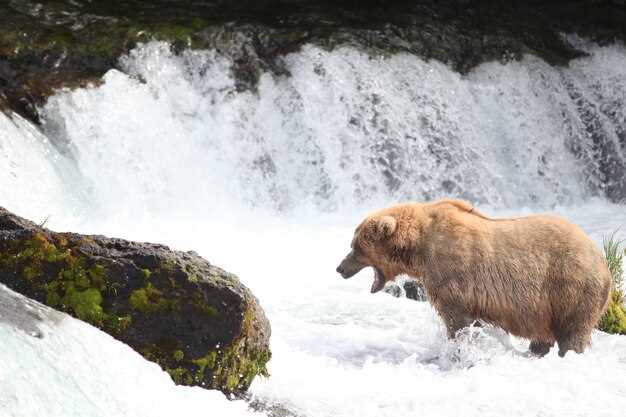 Медведицкая гряда: аномальная зона и ее секреты