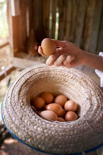 Покупать во сне яйца - значение и толкование сновидения